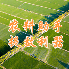 廠家 0-14PH在線PH水質(zhì)酸堿性/在線PH/ORP分析儀